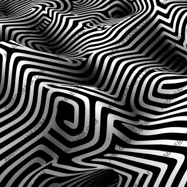 Patterned Beauty: Black and White Art Arranged in a 169 Configuration