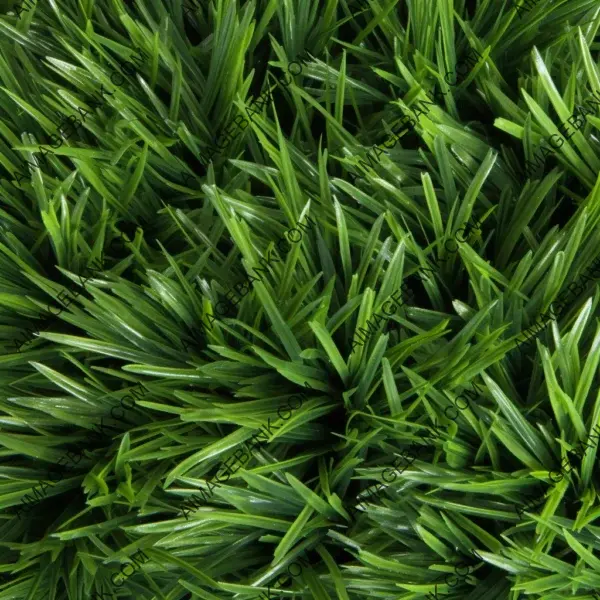 Captivating high-resolution image displaying the lushness of grass