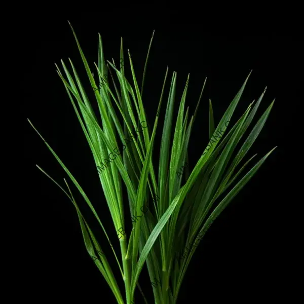 Photo-Realistic Detail on Strand Blade Grass