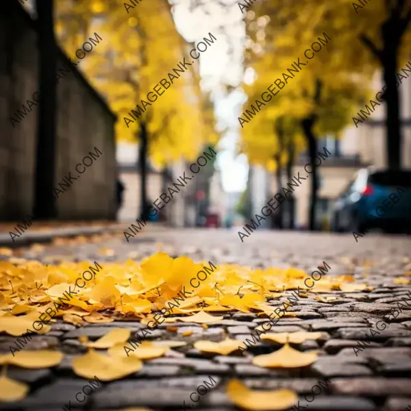 Professional Photography of a Solitary Ginkgo Tree