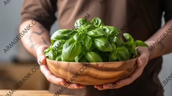 Close-up of Basil in a Wooden Bowl Held by a Man