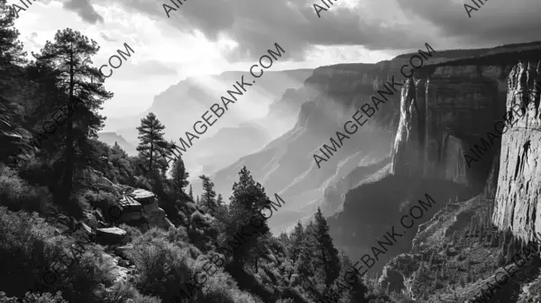 Craft Landscapes Inspired by Ansel Adams