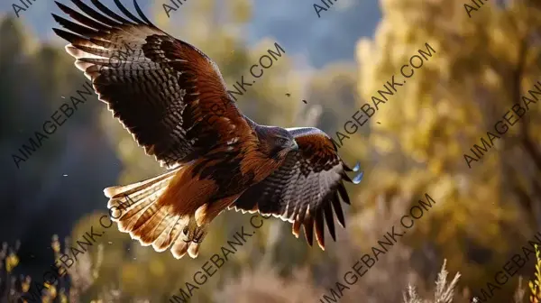 Breathtaking Action Photography of Birds of Prey