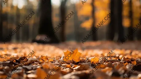 Close-Up of Dry Leaves Covering the Ground